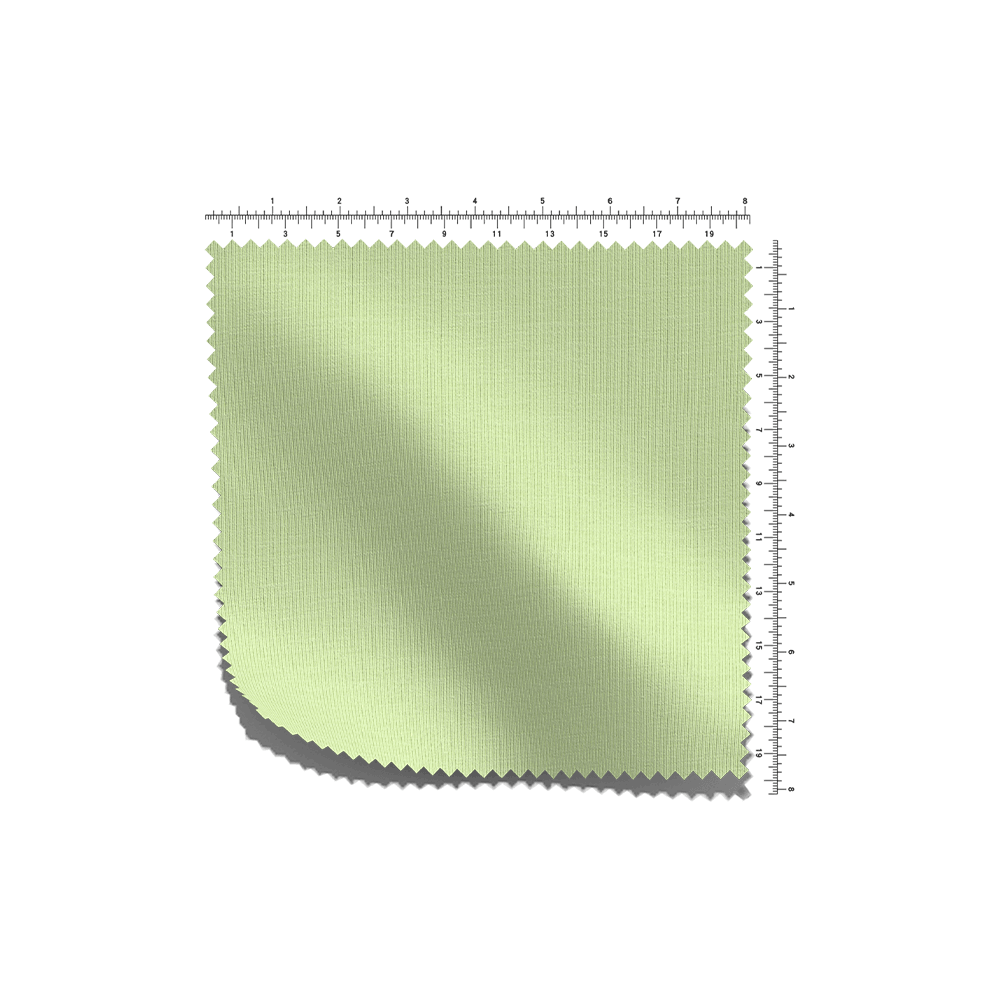 T/Naia/S Terry Pháp